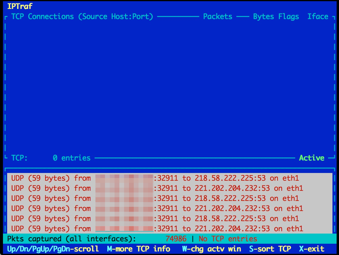 iptraf (IP traffic monnitor)