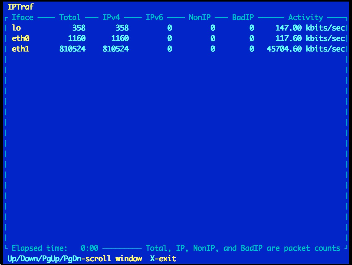 iptraf (General interface statistics)